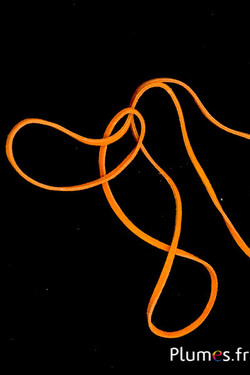 Lanière en croûte de cuir - épaisseur 1 mm - orange